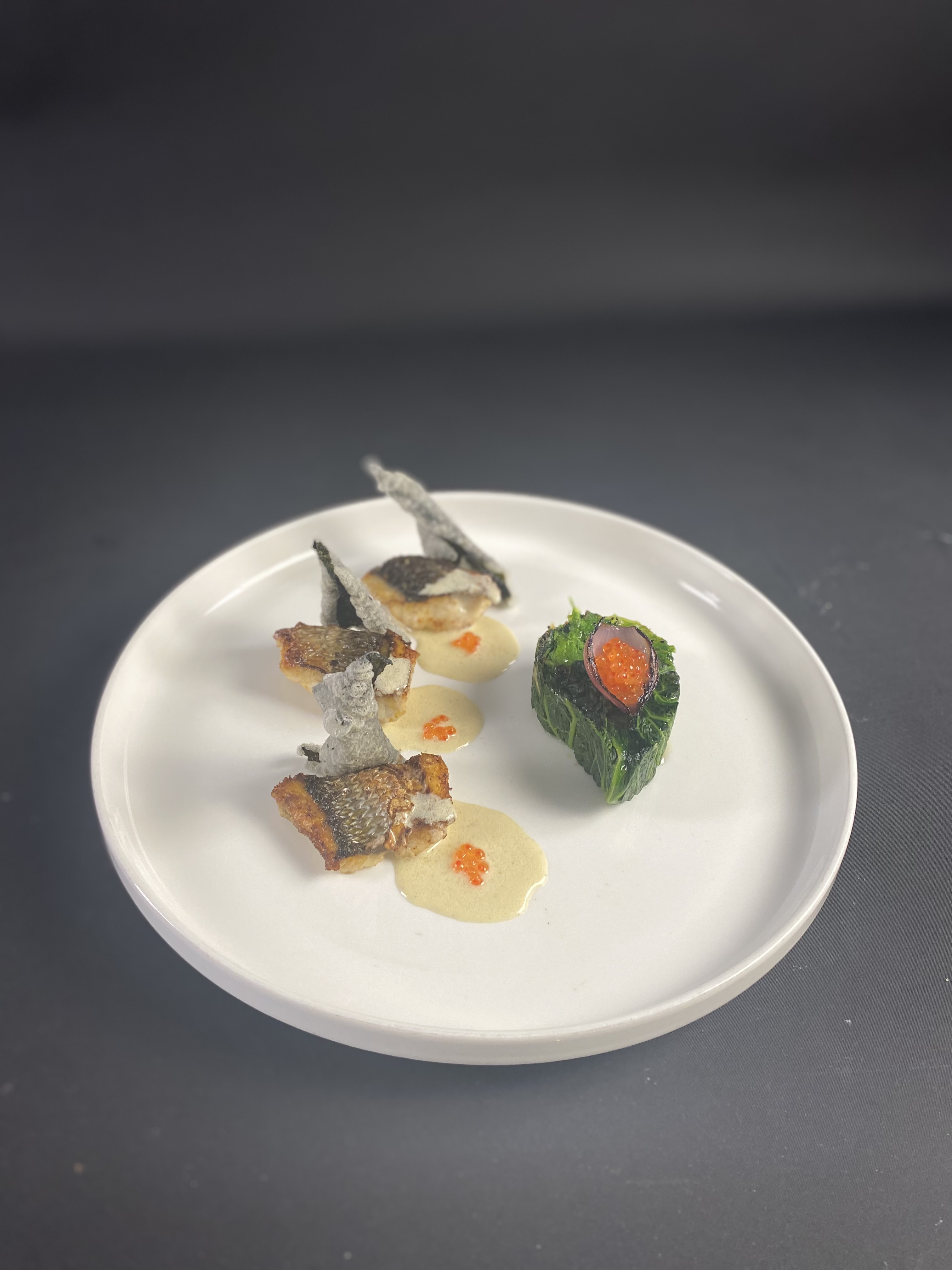 Culinary plating photo
