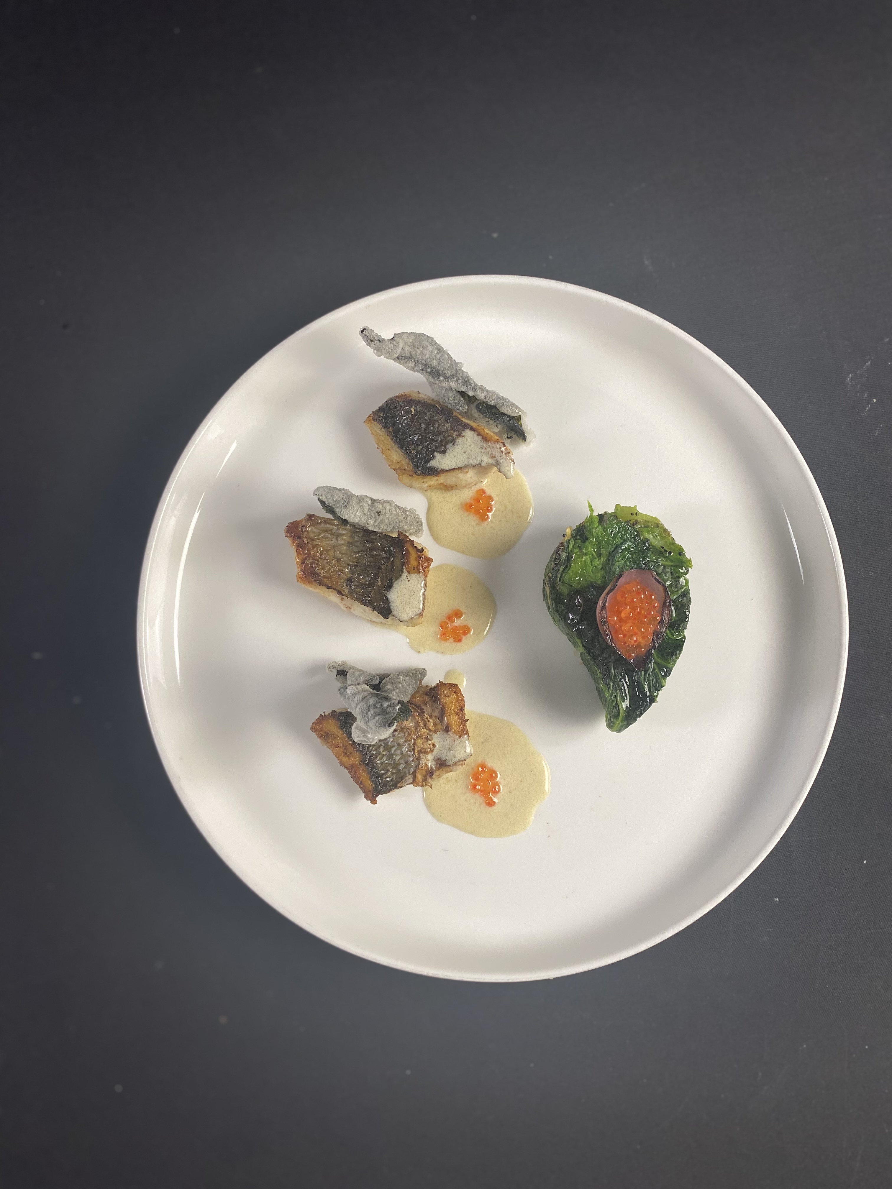 Culinary plating photo