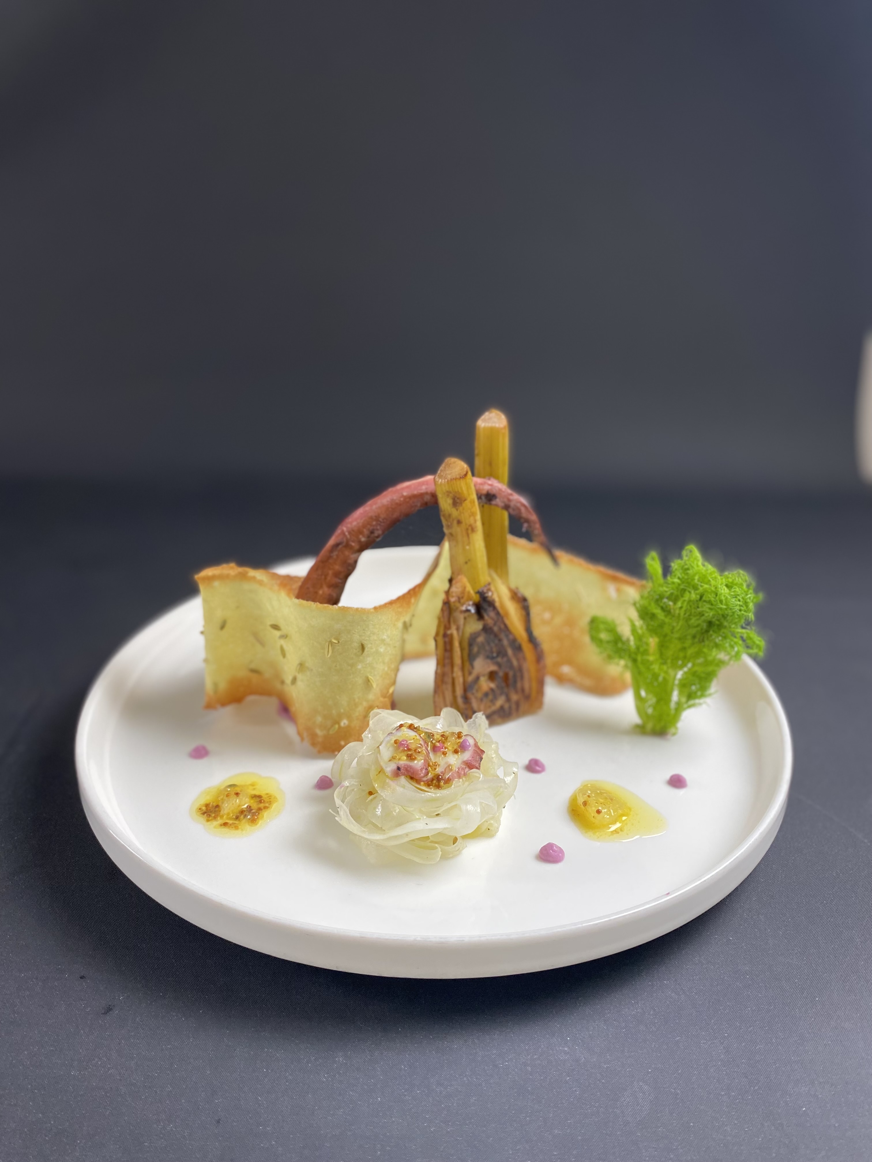 Culinary plating photo