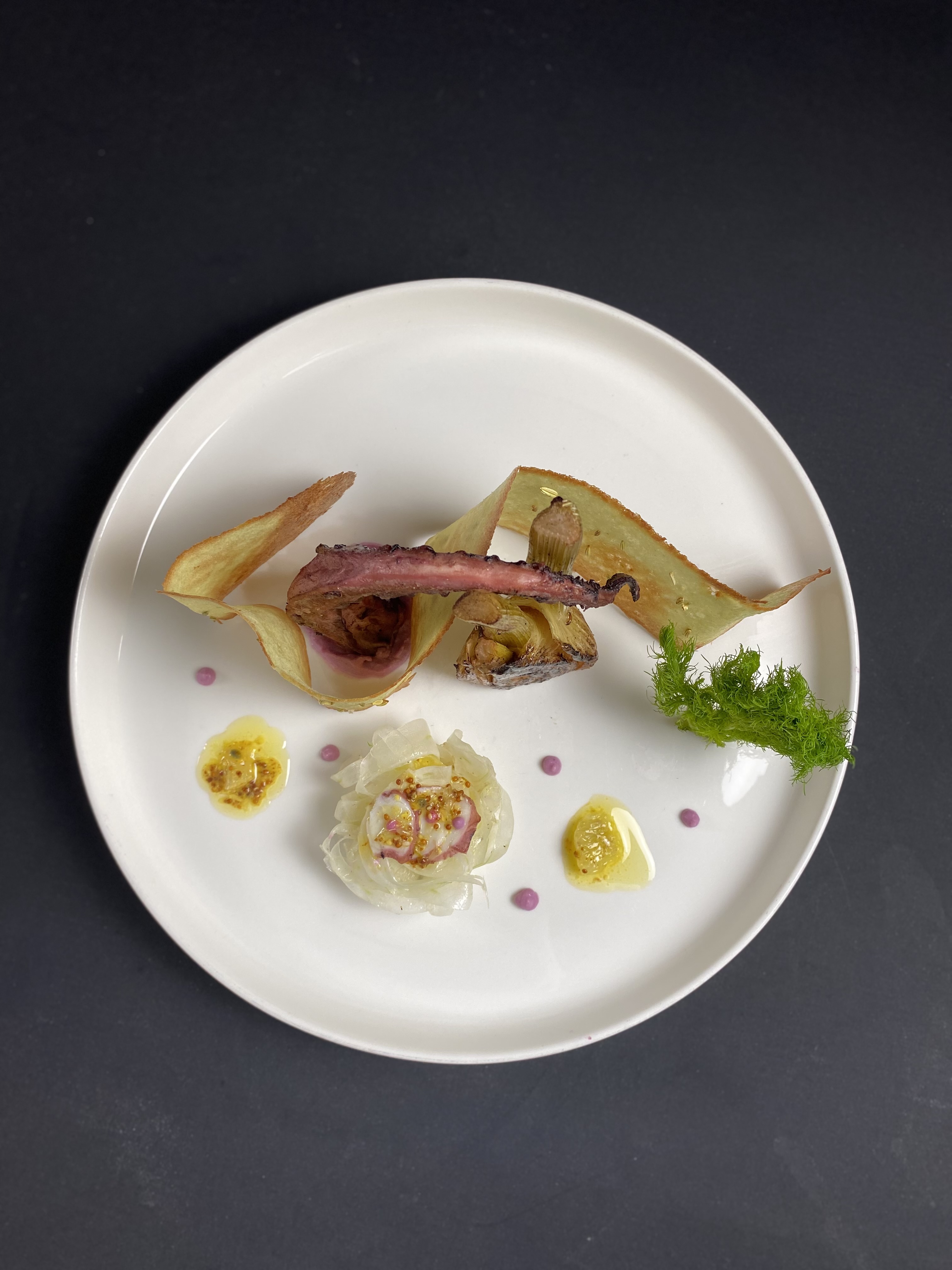 Culinary plating photo